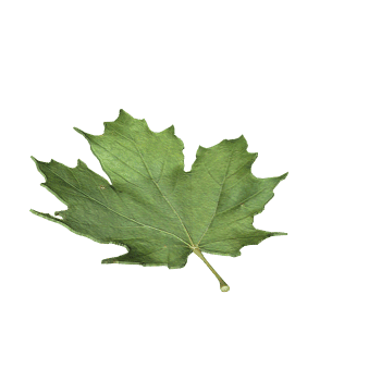 68020863a747abcd3a6c432c6724ee75_1787130674_7602.gif