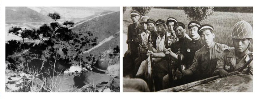 b85c0711bf35af3f84d1df379662c20b_1785454241_9949.png
